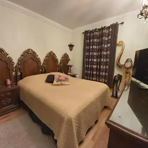 https://lovely-clean-room.hotels-in-montreal.org